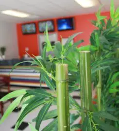 Rainbow House Asian Bistro Pea Ridge