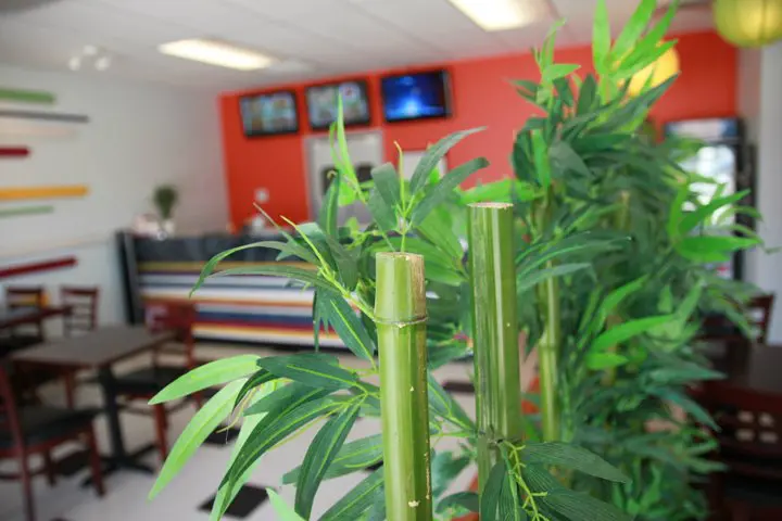 Rainbow House Asian Bistro Pea Ridge