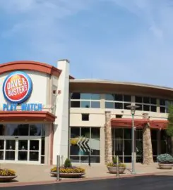 Dave & Bus Rogerster's