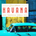 Havana Tropical Grill Rogers AR