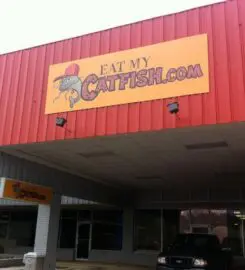 Eat My Catfish - Fayetteville AR